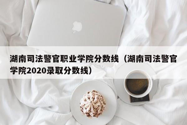 湖南司法警官职业学院分数线（湖南司法警官学院2020录取分数线）