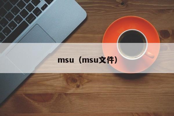 msu（msu文件）
